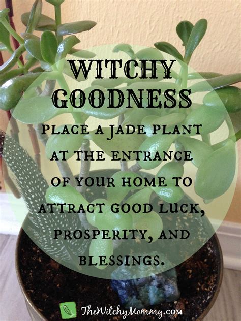 Ancient Wisdom and Modern Practices in Witchcraft Aqua Stone Gardens